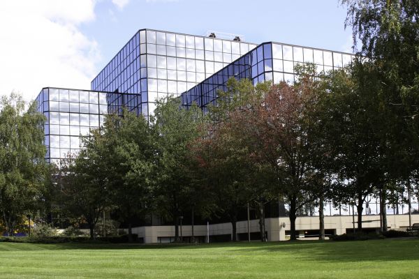 Commercial Tree Trimming in Ypsilanti