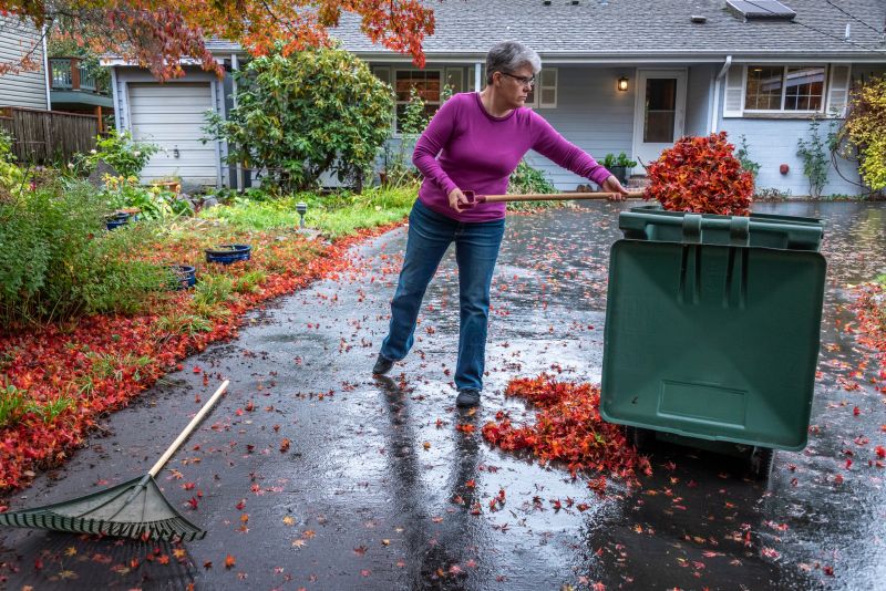 Leaf Disposal Method